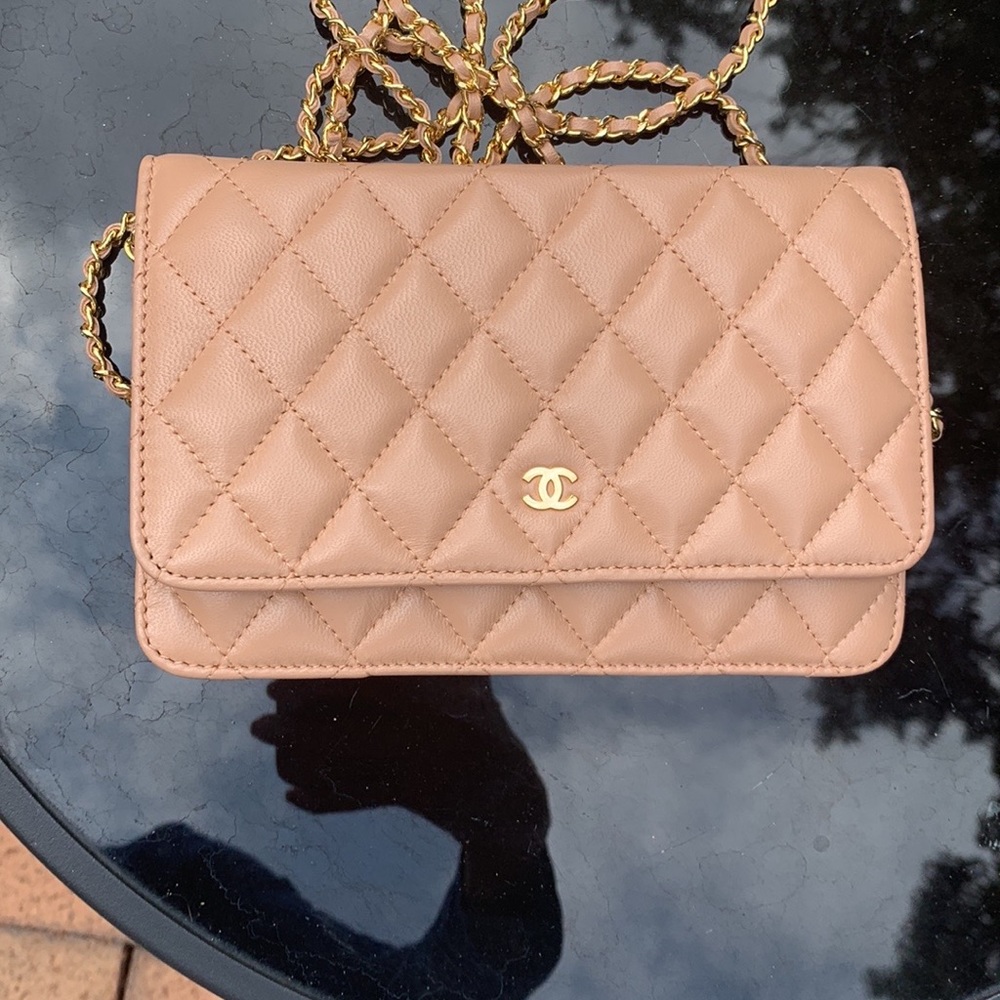 Blush evening bag with gold chain and hardware.